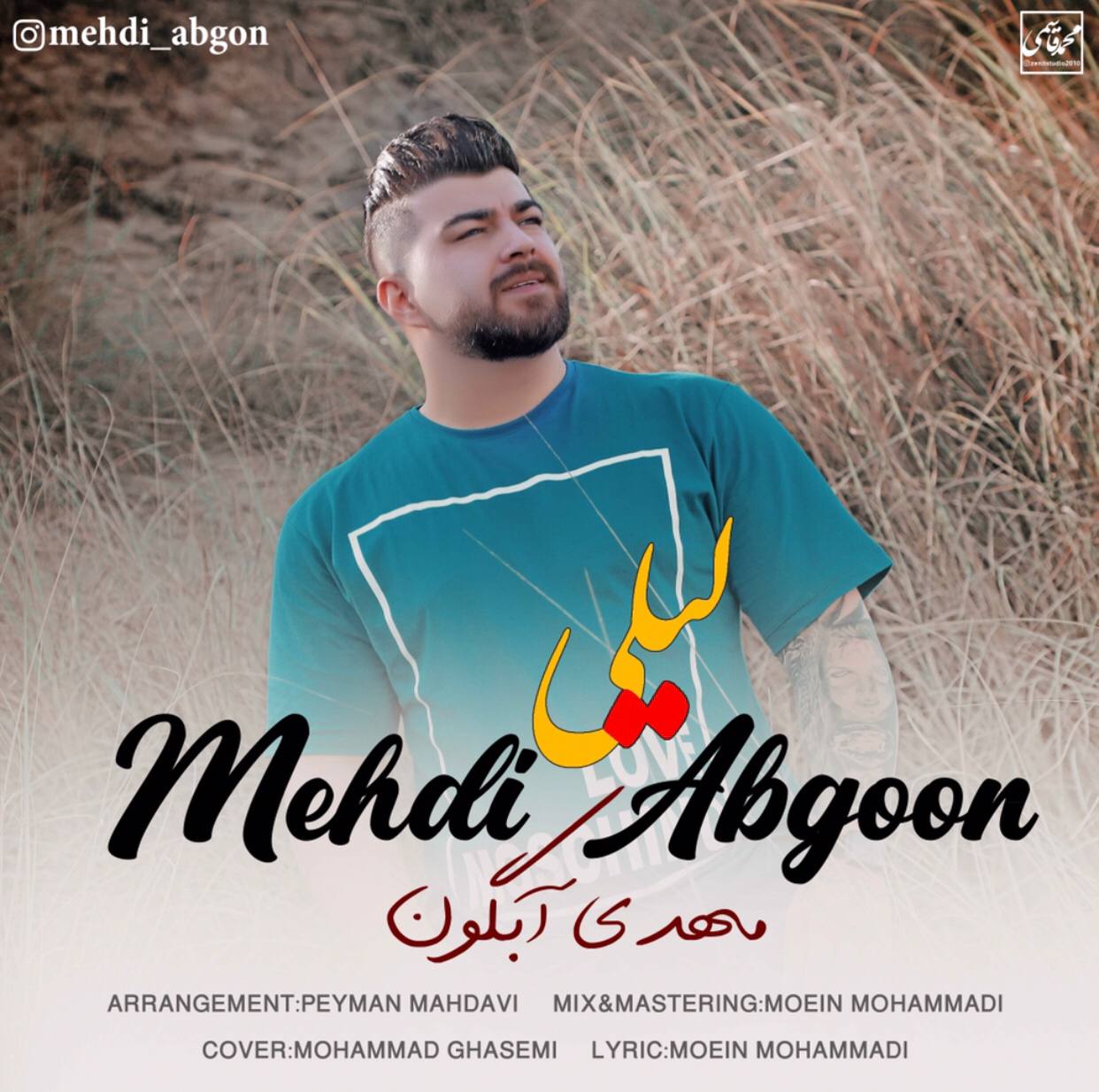 مهدی آبگون هالیلی